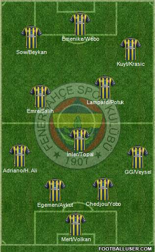 Fenerbahçe SK Formation 2013