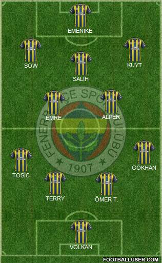 Fenerbahçe SK Formation 2013