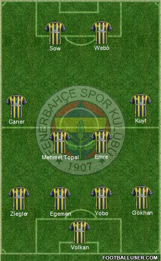Fenerbahçe SK Formation 2013