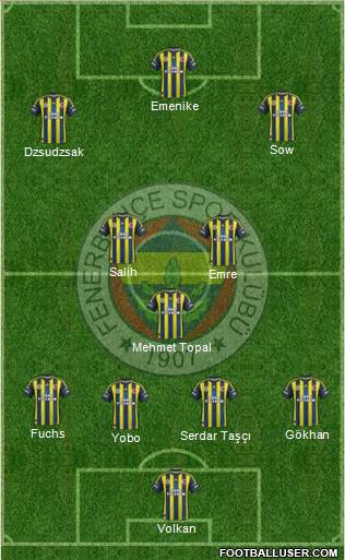 Fenerbahçe SK Formation 2013