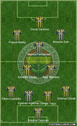 Fenerbahçe SK Formation 2013