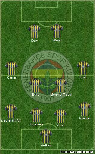 Fenerbahçe SK Formation 2013