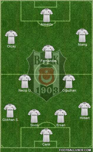 Besiktas JK Formation 2013
