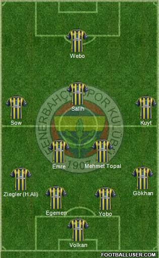 Fenerbahçe SK Formation 2013