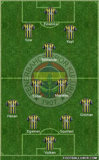 Fenerbahçe SK Formation 2013