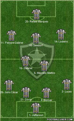 Botafogo FR Formation 2013