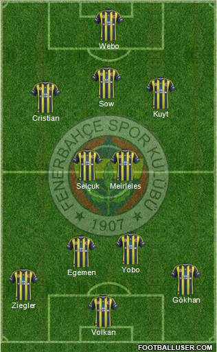Fenerbahçe SK Formation 2013