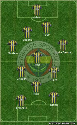 Fenerbahçe SK Formation 2013