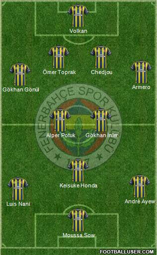 Fenerbahçe SK Formation 2013