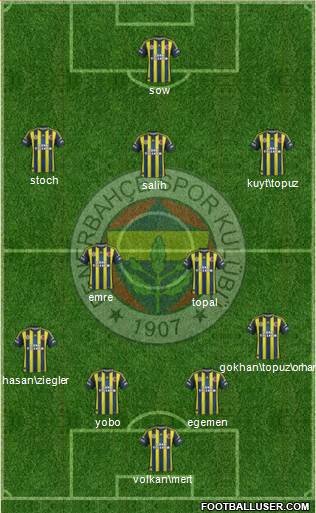 Fenerbahçe SK Formation 2013