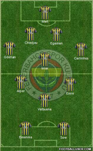 Fenerbahçe SK Formation 2013