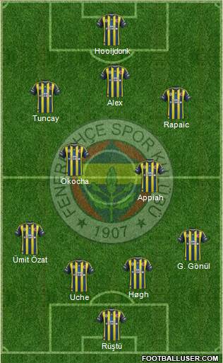 Fenerbahçe SK Formation 2013