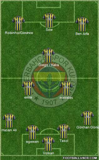 Fenerbahçe SK Formation 2013