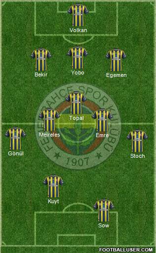 Fenerbahçe SK Formation 2013