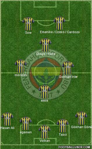 Fenerbahçe SK Formation 2013