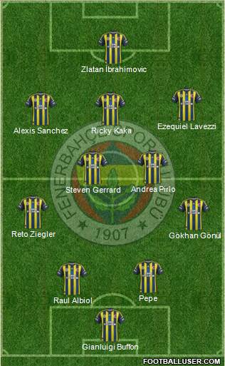 Fenerbahçe SK Formation 2013