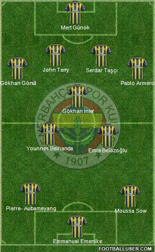 Fenerbahçe SK Formation 2013