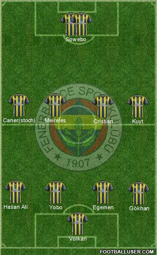 Fenerbahçe SK Formation 2013
