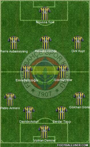 Fenerbahçe SK Formation 2013