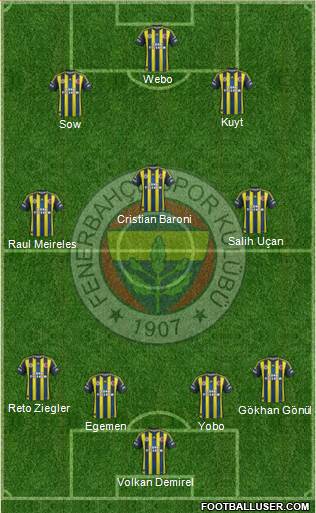 Fenerbahçe SK Formation 2013