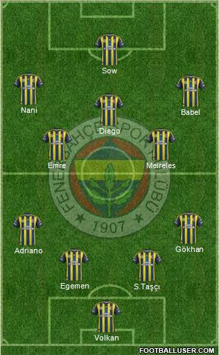 Fenerbahçe SK Formation 2013