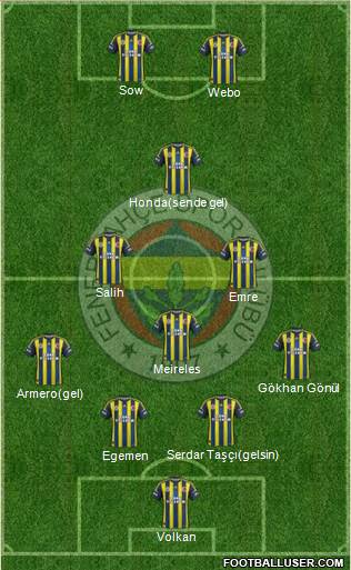 Fenerbahçe SK Formation 2013
