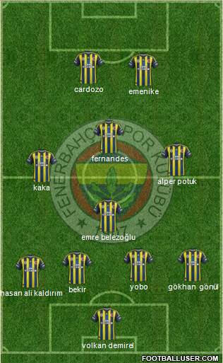 Fenerbahçe SK Formation 2013