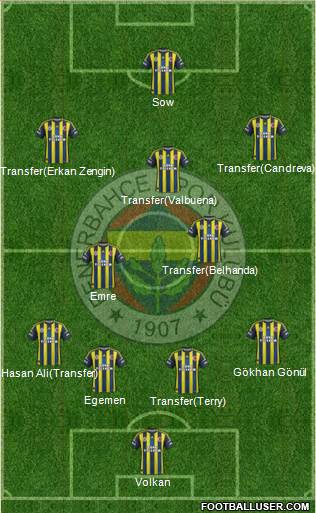 Fenerbahçe SK Formation 2013