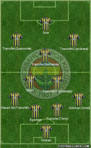 Fenerbahçe SK Formation 2013