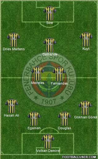 Fenerbahçe SK Formation 2013