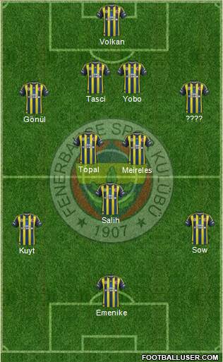 Fenerbahçe SK Formation 2013