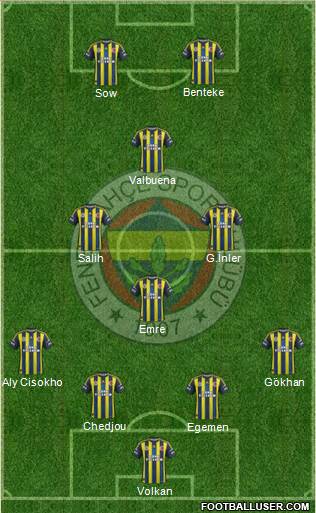 Fenerbahçe SK Formation 2013
