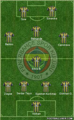 Fenerbahçe SK Formation 2013