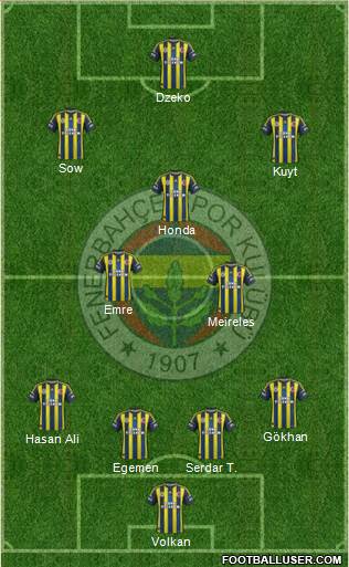 Fenerbahçe SK Formation 2013