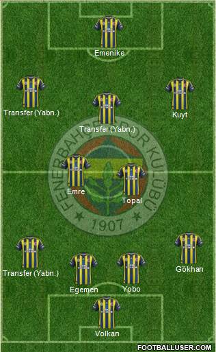 Fenerbahçe SK Formation 2013