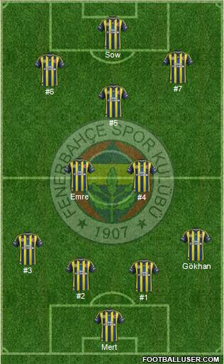Fenerbahçe SK Formation 2013