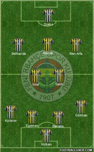 Fenerbahçe SK Formation 2013