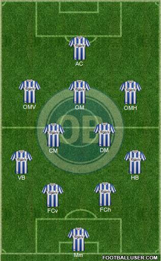 Odense Boldklub Formation 2013