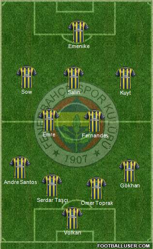 Fenerbahçe SK Formation 2013