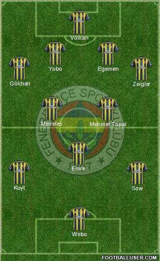 Fenerbahçe SK Formation 2013