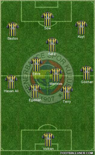 Fenerbahçe SK Formation 2013