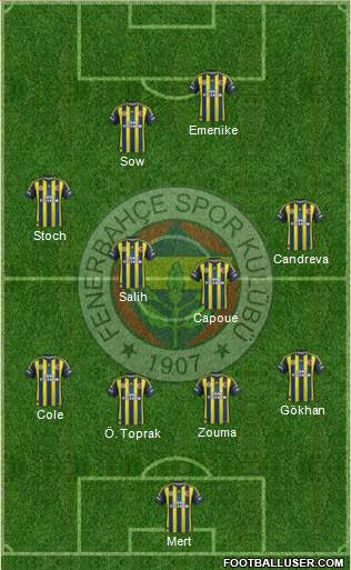 Fenerbahçe SK Formation 2013