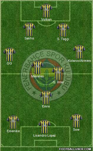 Fenerbahçe SK Formation 2013