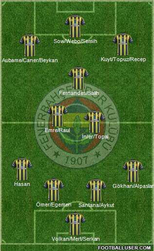 Fenerbahçe SK Formation 2013