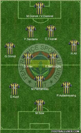 Fenerbahçe SK Formation 2013