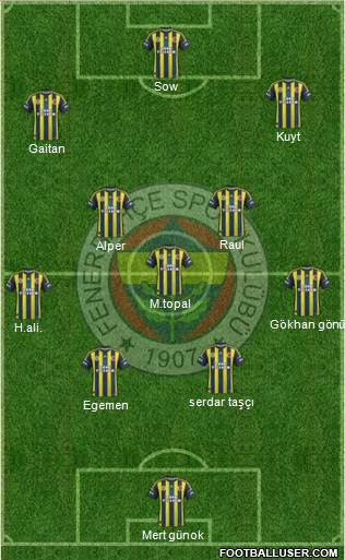Fenerbahçe SK Formation 2013