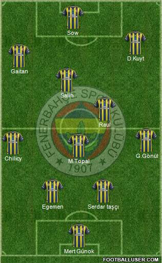 Fenerbahçe SK Formation 2013