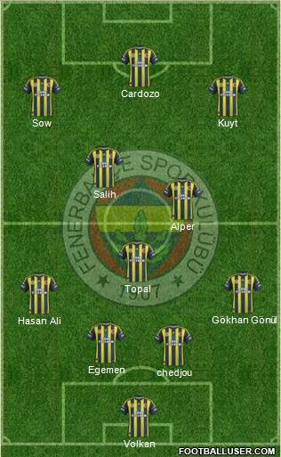 Fenerbahçe SK Formation 2013