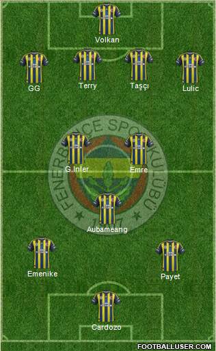 Fenerbahçe SK Formation 2013