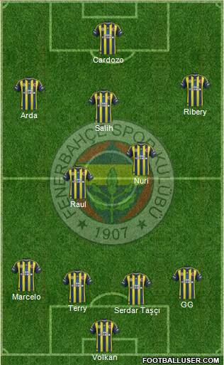 Fenerbahçe SK Formation 2013